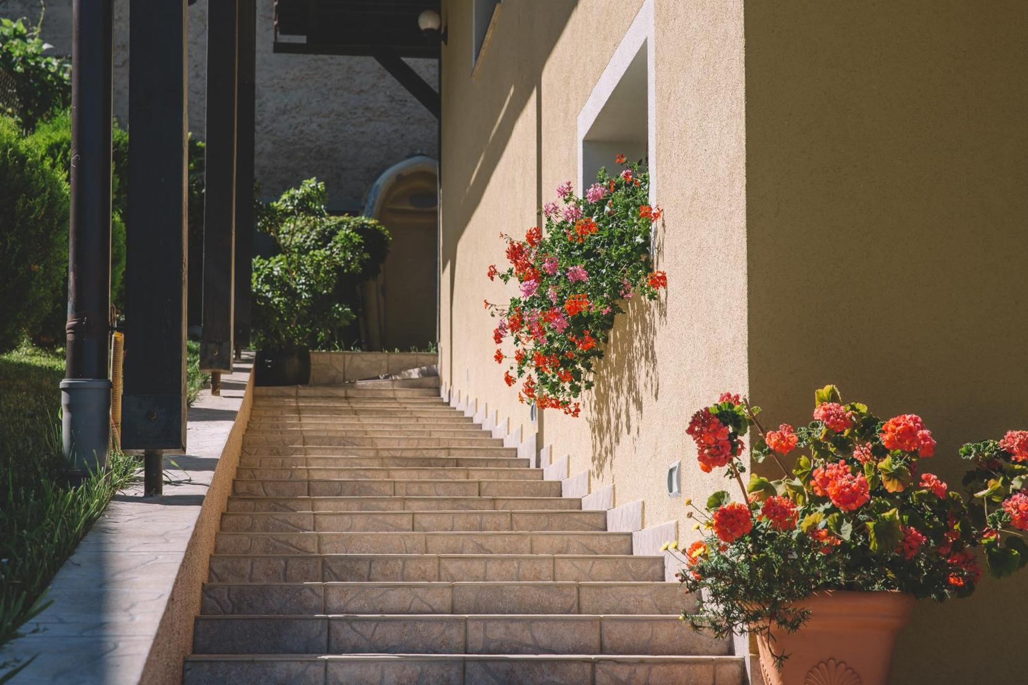 Apartments Mise Ogulin Εξωτερικό φωτογραφία